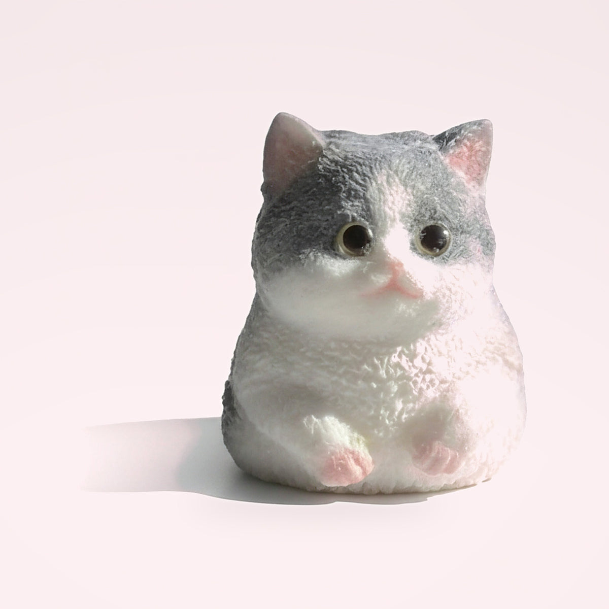 Squishy Gros chat réaliste – photo studio
