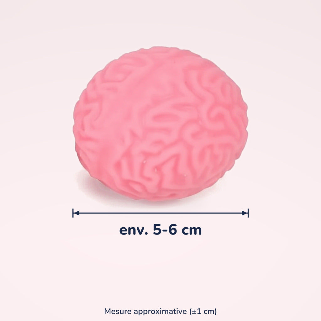 Squishy Cerveau de zombie – dimensions