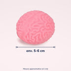 Squishy Cerveau de zombie – dimensions