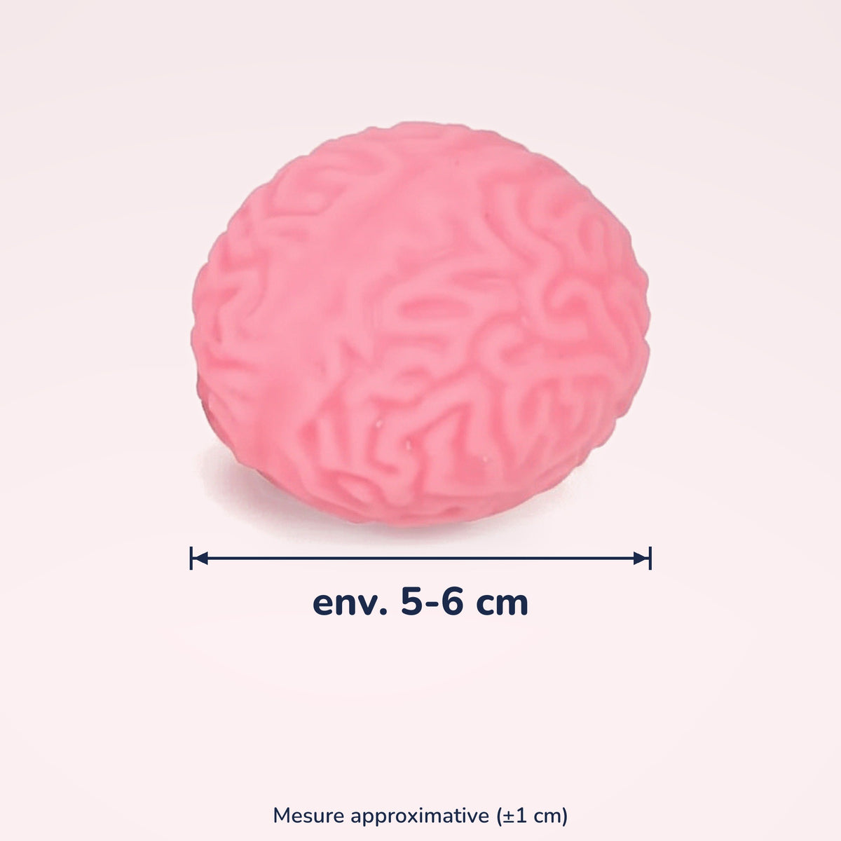 Squishy Cerveau de zombie – dimensions